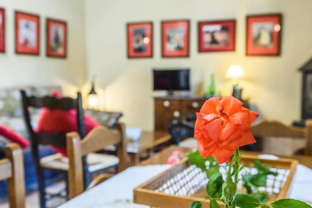 Villa Casa Cortijo En Dehesa Sierra Leon à La Puebla de los Infantes Extérieur photo